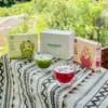 Combo Thạch Lọc Hồng Cầu Toàn Diện Sungrass
